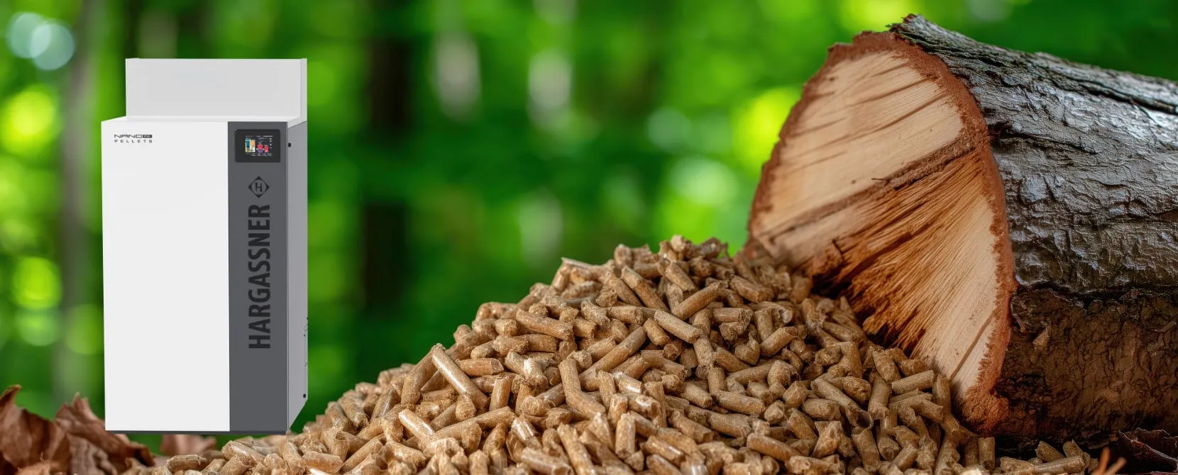 Biomasse Holzpellets Heizung Heidelberg und Rhein-Neckar-Kreis