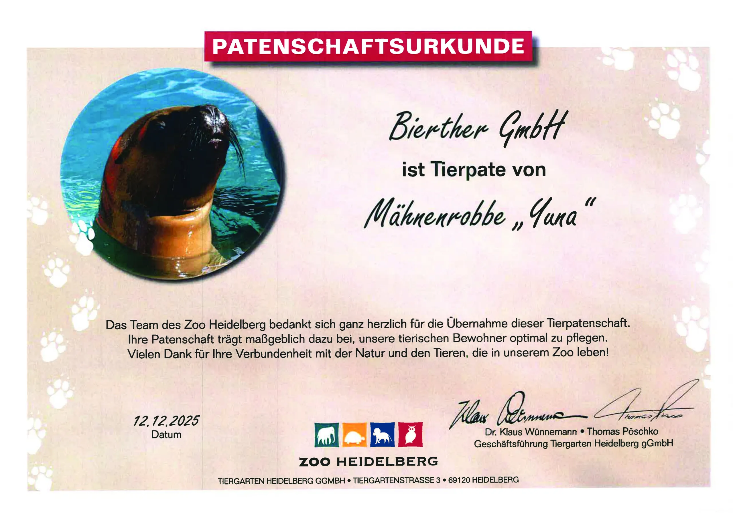 Bierther Patenschaftsurkunde Mähnenrobbe im Heidelberger Zoo.