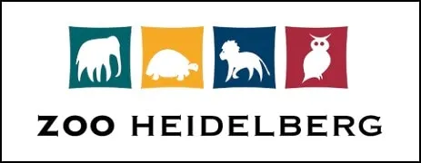 Logo vom Heidelberger Zoo, bei dem die Bierther GmbH eine Patenschaft der Robbe Yuna übernommen hat.